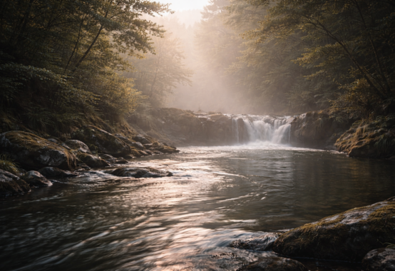 朝靄の中を静かに流れる川が滝壺へ向かう手前で穏やかに湾曲している情景が、流れに呑まれず乗る姿勢を象徴している